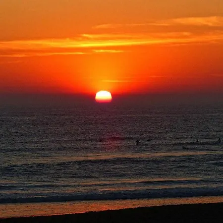 El Palmar 3*